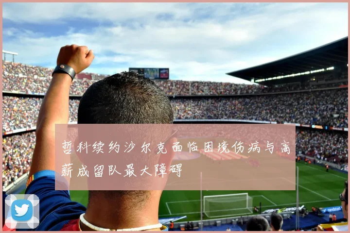 哲科续约沙尔克面临困境伤病与高薪成留队最大障碍