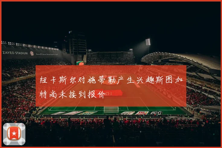 纽卡斯尔对施蒂勒产生兴趣斯图加特尚未接到报价