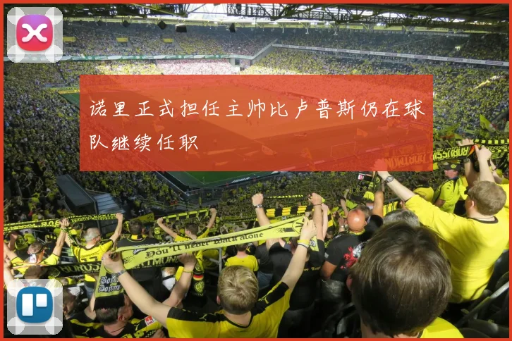 诺里正式担任主帅比卢普斯仍在球队继续任职