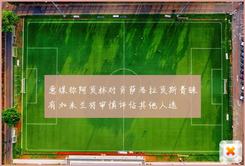 意媒称阿莫林对贡萨洛拉莫斯青睐有加米兰将审慎评估其他人选